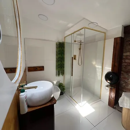 Old Town Penthouse 16 Guests Apartment Bucharest